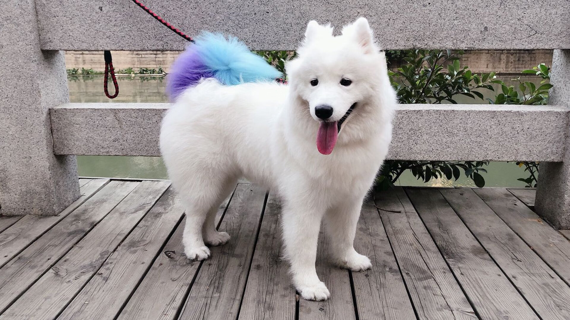 2025年度最具潜力战队排行榜公布,2021年最新战队公布啦