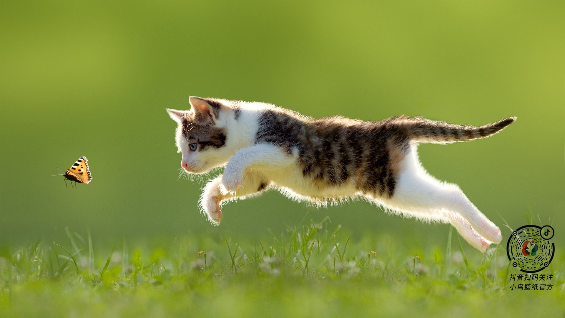 _体育景观节：运动与自然的完美融合_，体育运动对自然环境的影响