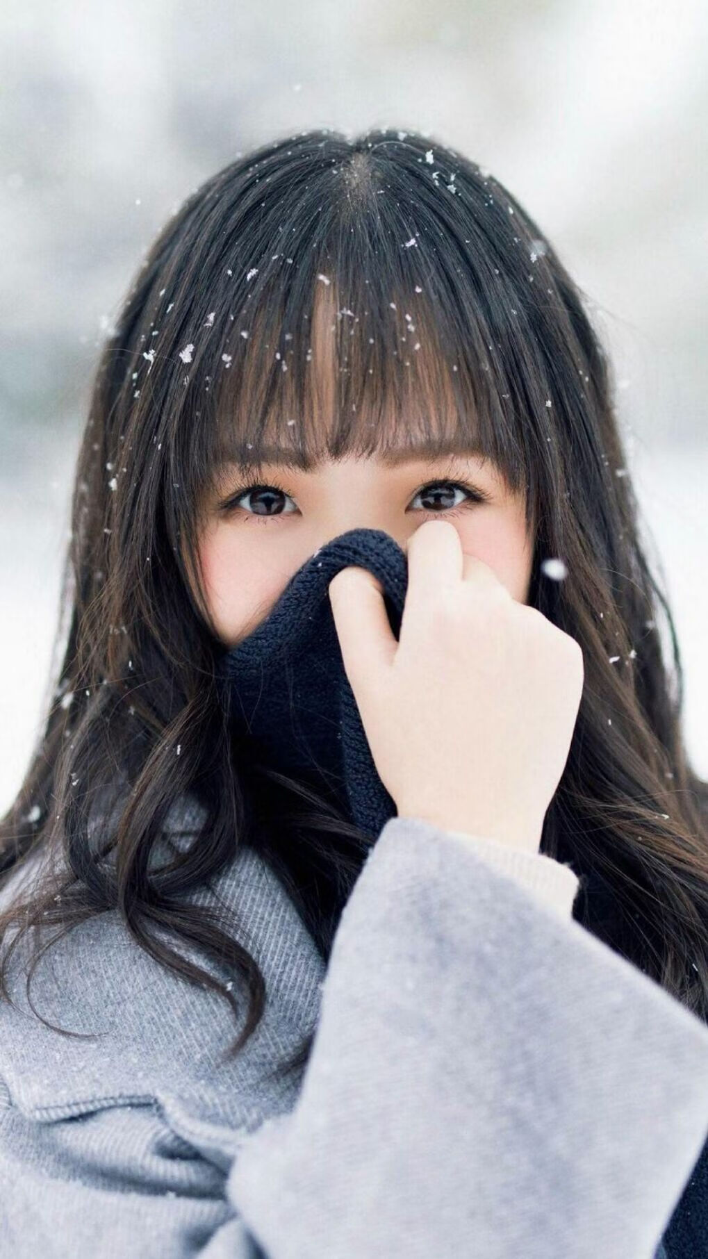 _最后的狂欢：体育节日全城狂欢盛典_，最后的狂欢歌曲