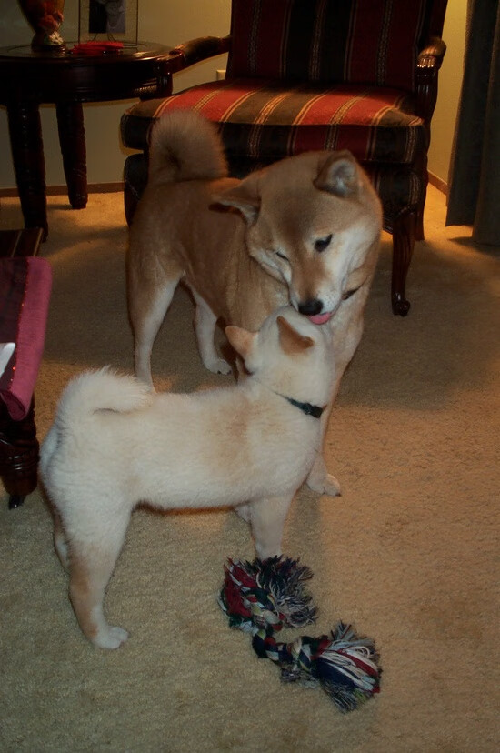 _运动员的家庭生活：鼎力支持的背后故事_，运动员家庭条件