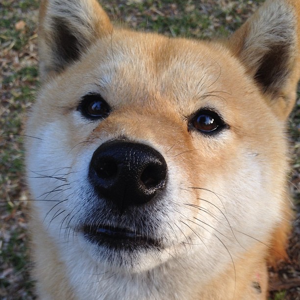 《竞技场景的未来：虚拟现实与增强现实的结合》，现场竞技类小游戏