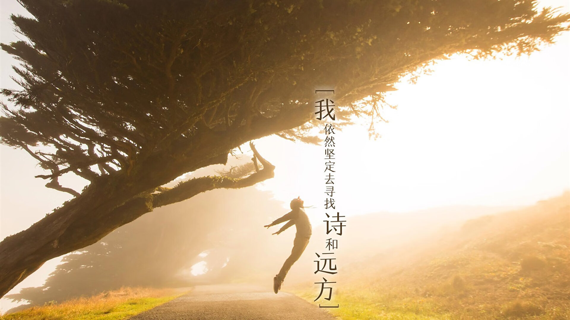 中国女子篮球联赛官方评论系统上线，增强观众互动体验，中国女子篮球联赛规则