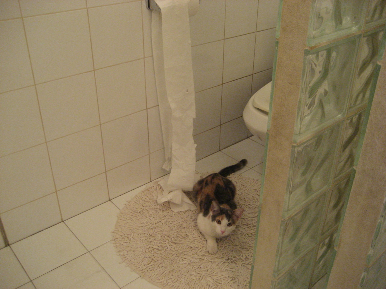 欧冠“未来之星”名单：谁能问鼎全球足球巅峰？，足坛未来