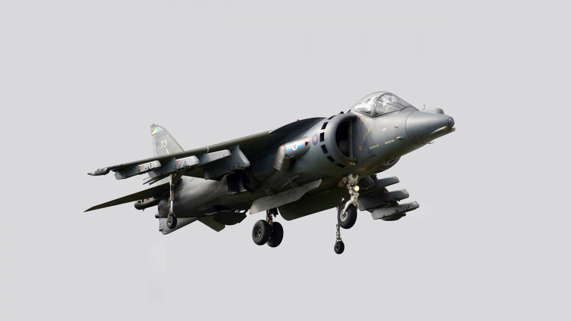 球迷创新应援，营造热烈比赛氛围，球队应援