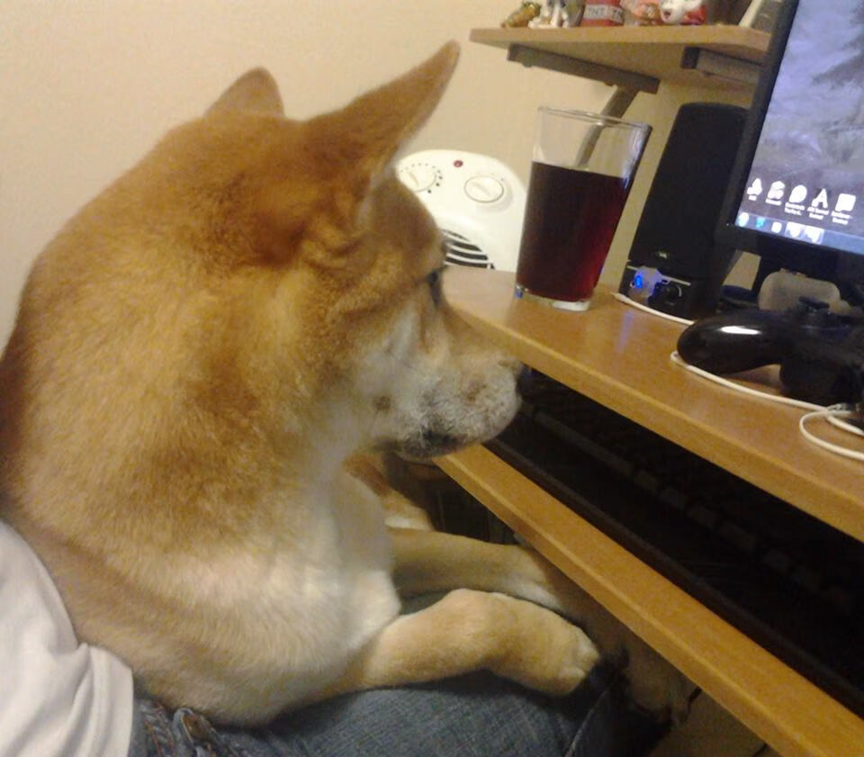 爱游戏app-粉丝创意：自制赛车模型火爆网络，自制赛车造型