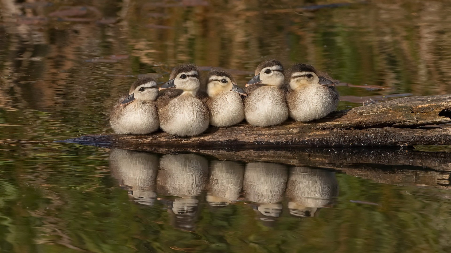 AIYOUXI.COM-虚拟现实比赛直播：真人与虚拟交相辉映，虚拟现实大赛