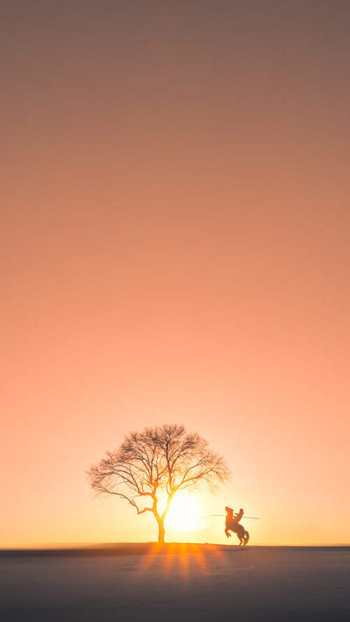 FPX调整教练团队，强化战术执行力，fpx教练组