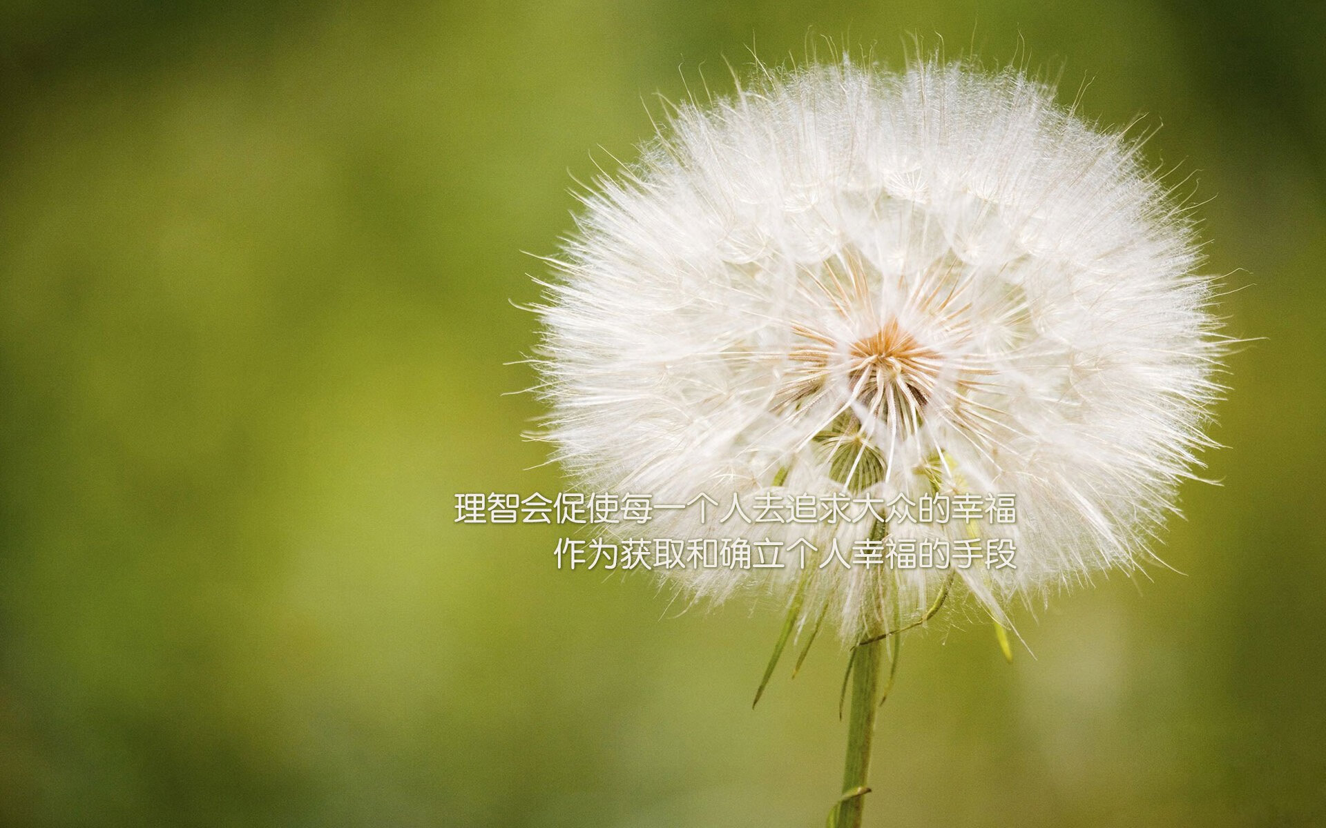 爱游戏平台-KPL目标锁定世界冠军，kpl限定顺序