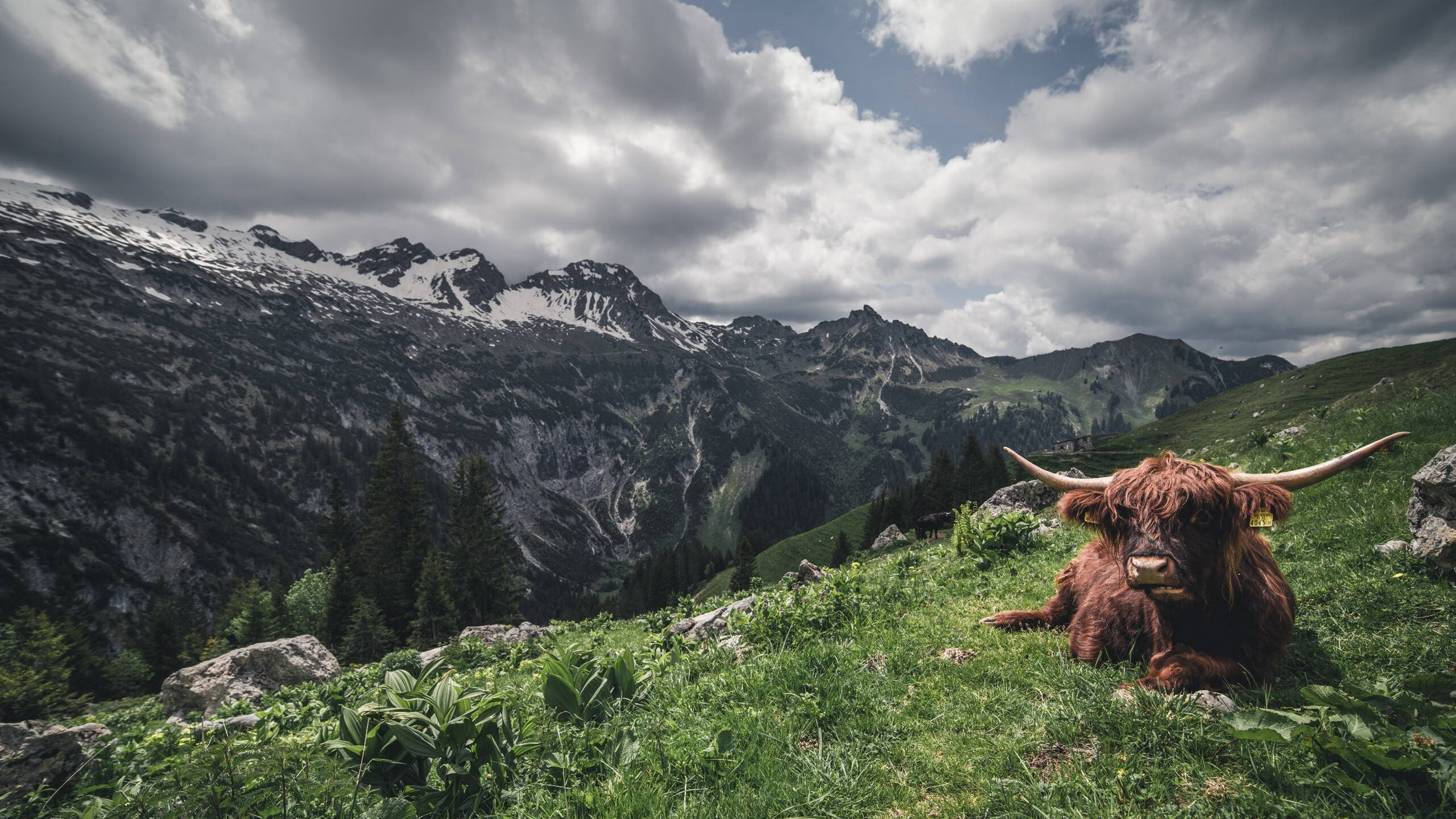 原州东浦新世代攻防转换效率提高