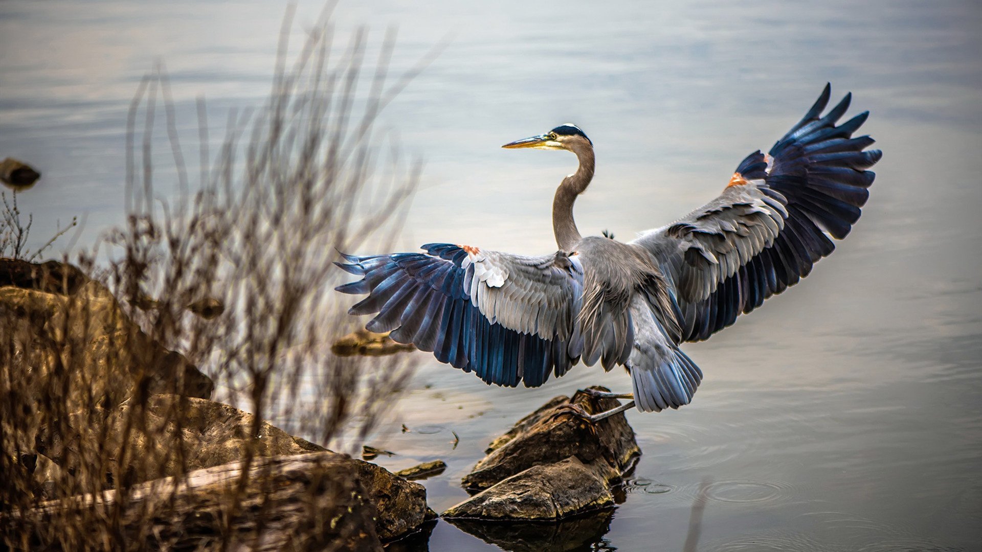 爱游戏登录入口-瑞士球队备战东方豪强，决战瞬息间，瑞士球队叫什么