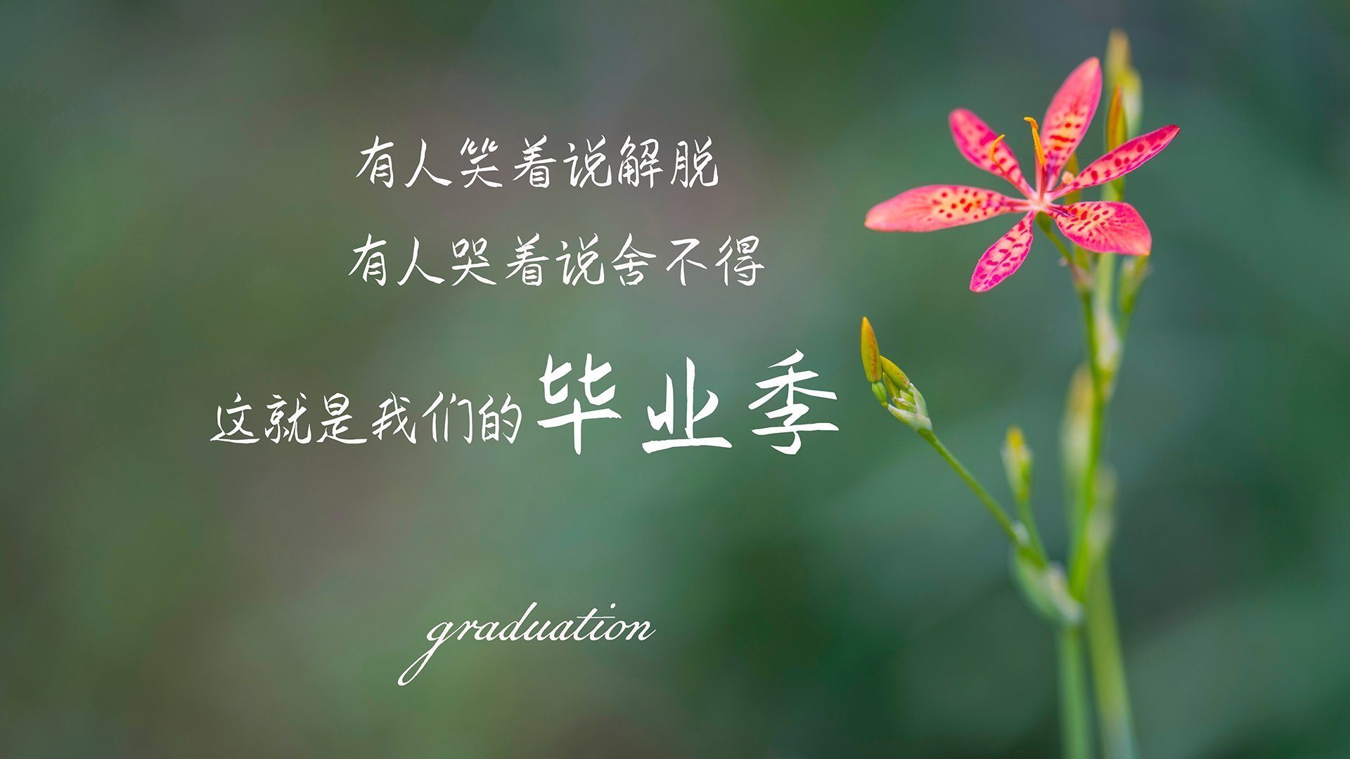 AYX官网-阿根廷小将成为全场最佳，阿根廷小将成为全场最佳球员