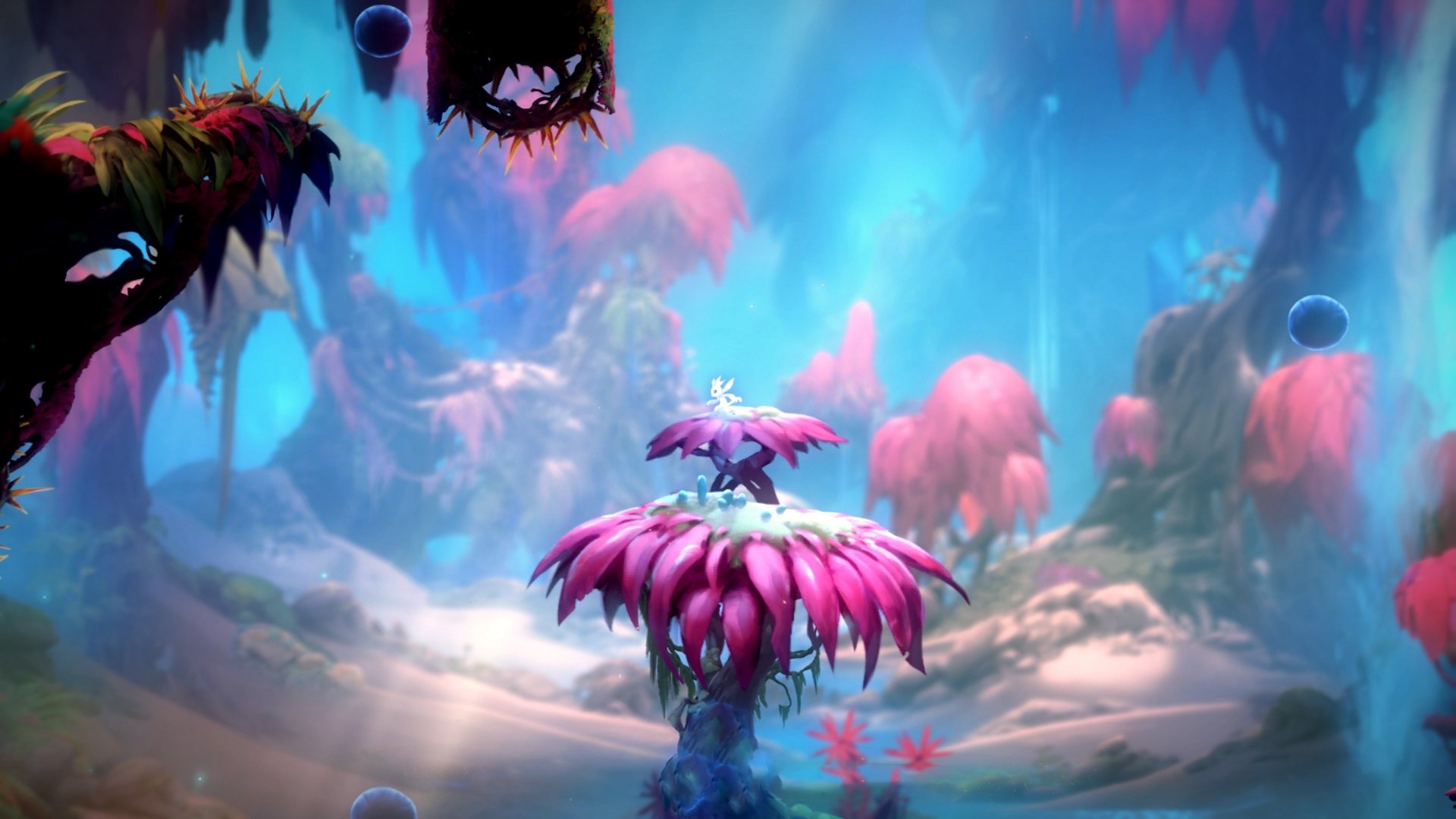 全国青少年武术套路锦标赛精彩绝伦，全国青少年武术套路锦标赛精彩绝伦视频