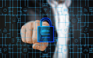 爱游戏登录入口-校园体育安全管理策略研究，校园体育安全管理策略研究报告