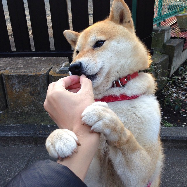 英超比赛中高强度跑动与进攻效率的相关性研究,英超平均跑动