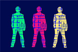 爱游戏登录入口-高校体育专业人才培养质量保障体系，体育人才培养方案心得体会