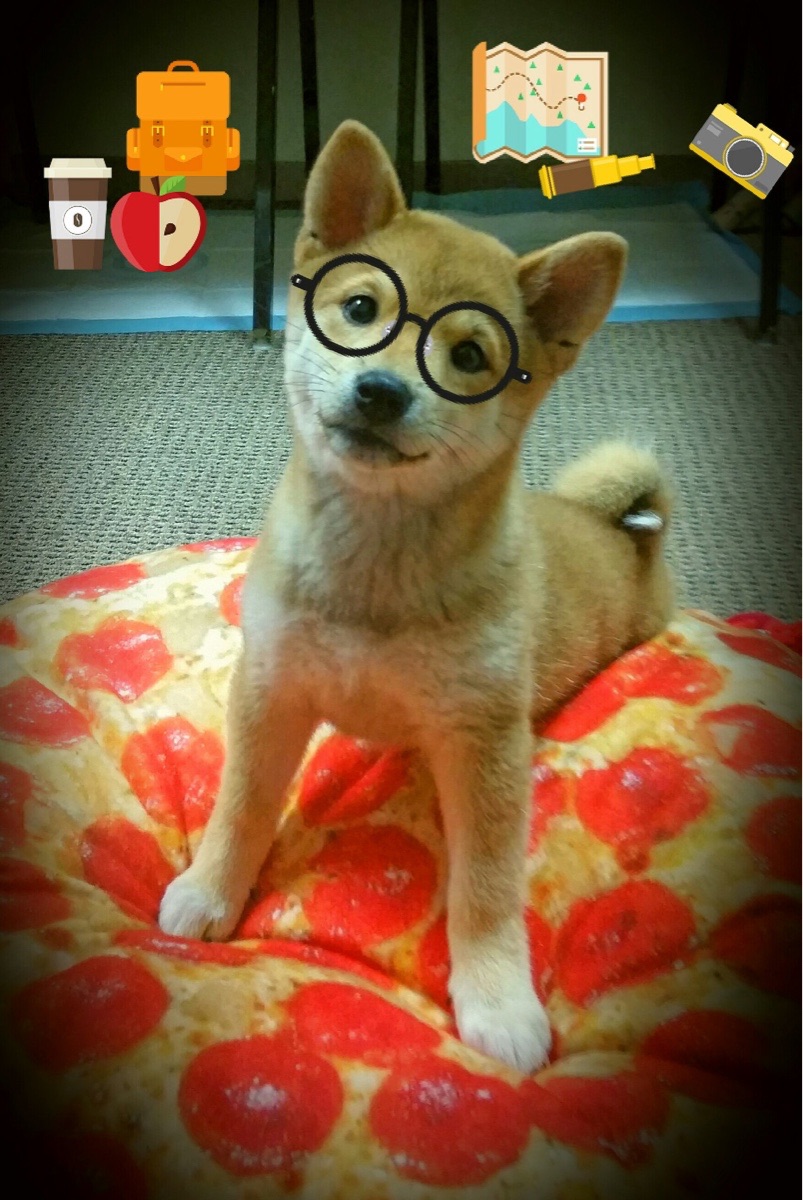 爱游戏体育（AYX）官方APP下载-体育医疗保障体系更加完善，医疗保健体育的分类方法有很多一般我们将其分为三类