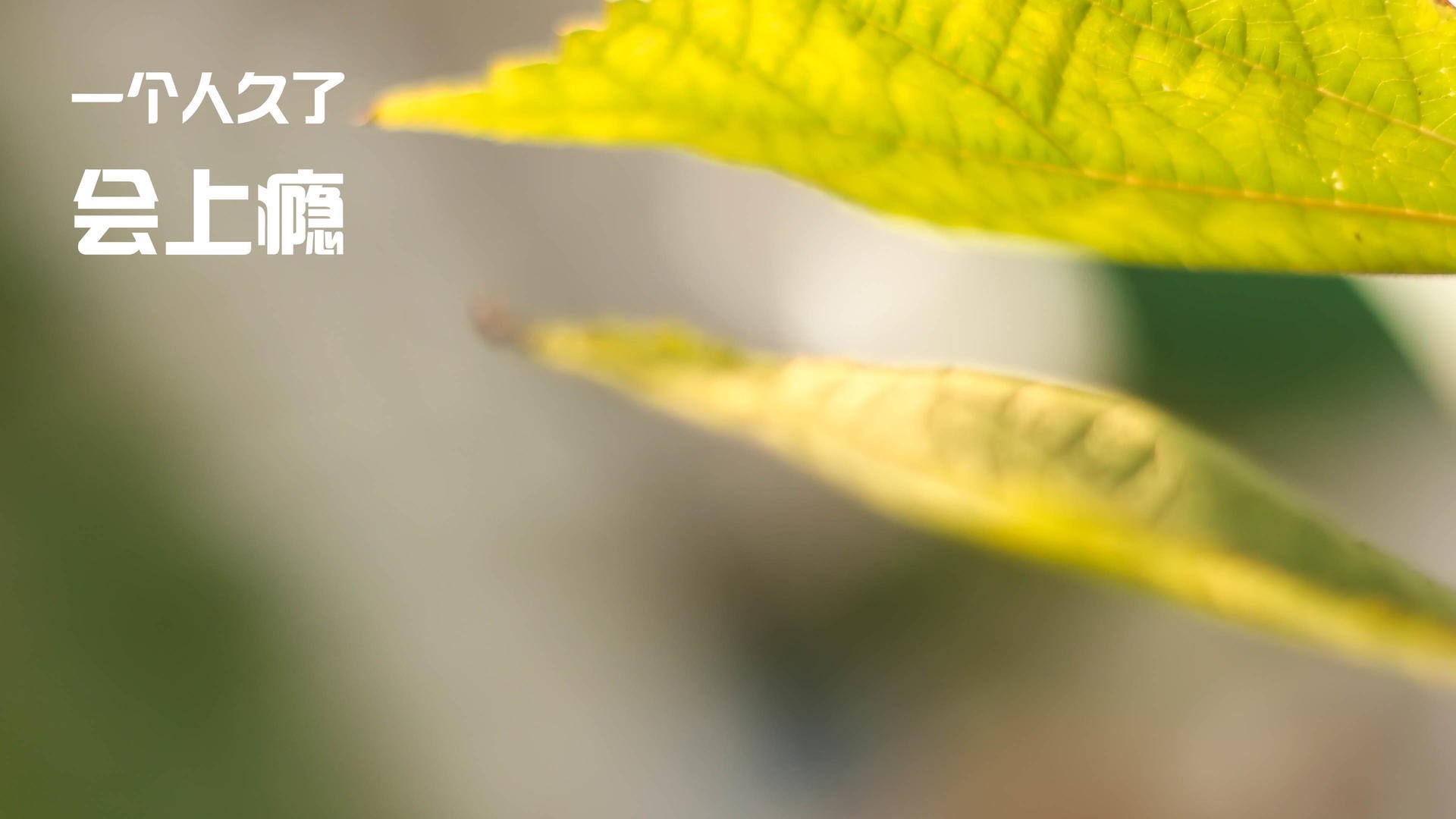 爱游戏体育-C罗总结本赛季称团队配合最为关键，c罗配合搭档