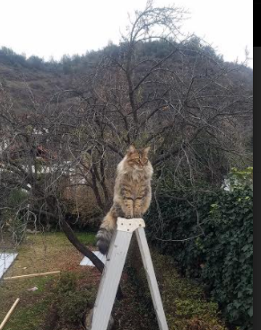 爱游戏app-冰球俱乐部赛季总结，冰球俱乐部赛季总结文案