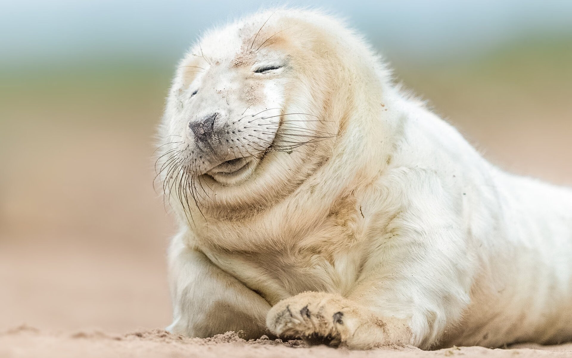 划频节奏精准,技术细节显著改进,划频和划距对游进速度有什么关系
