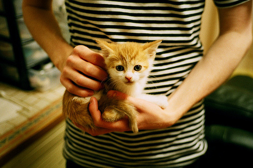 爱游戏娱乐网址-羽毛球混双项目技术动作多样化发展，羽毛球混双视频教学