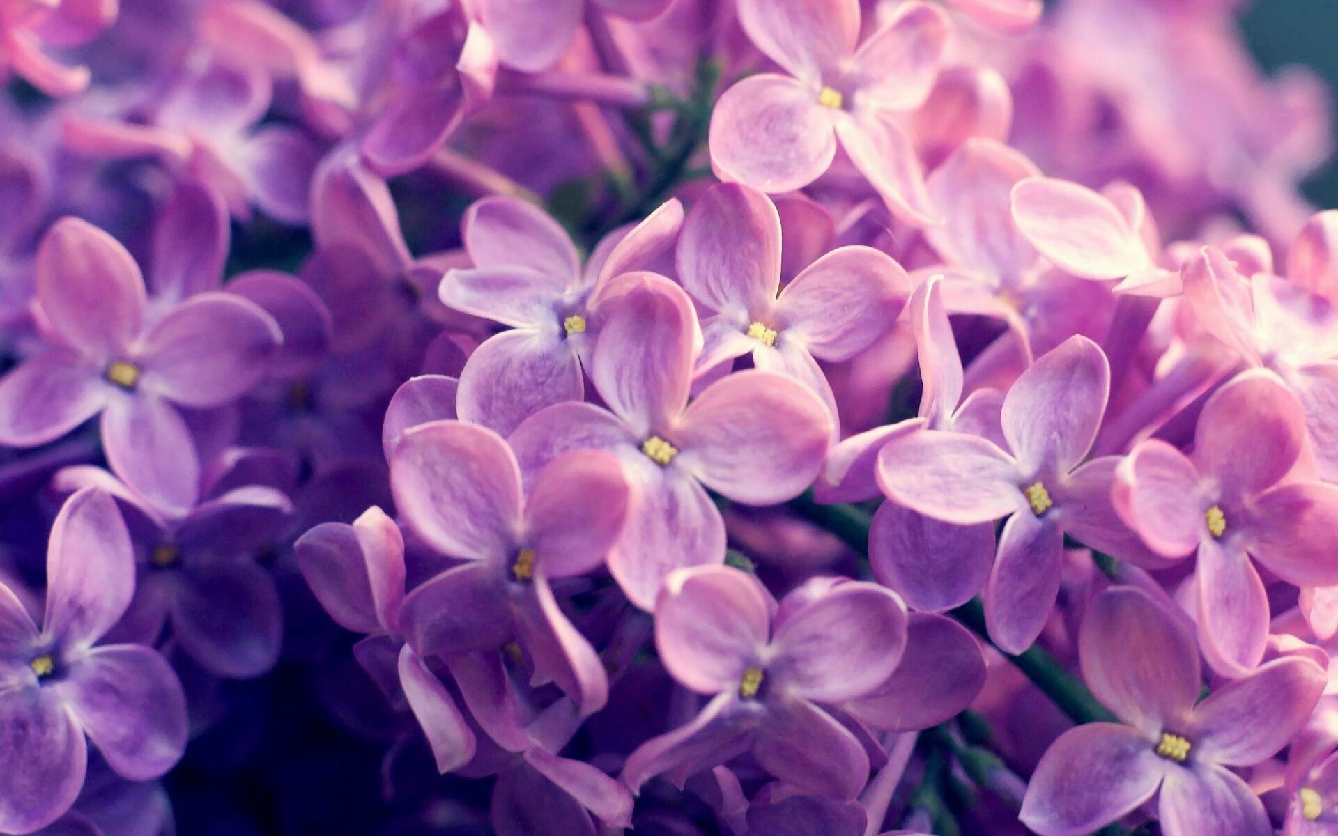 西甲攻守激战:精彩瞬间不断刷屏!,西甲战报