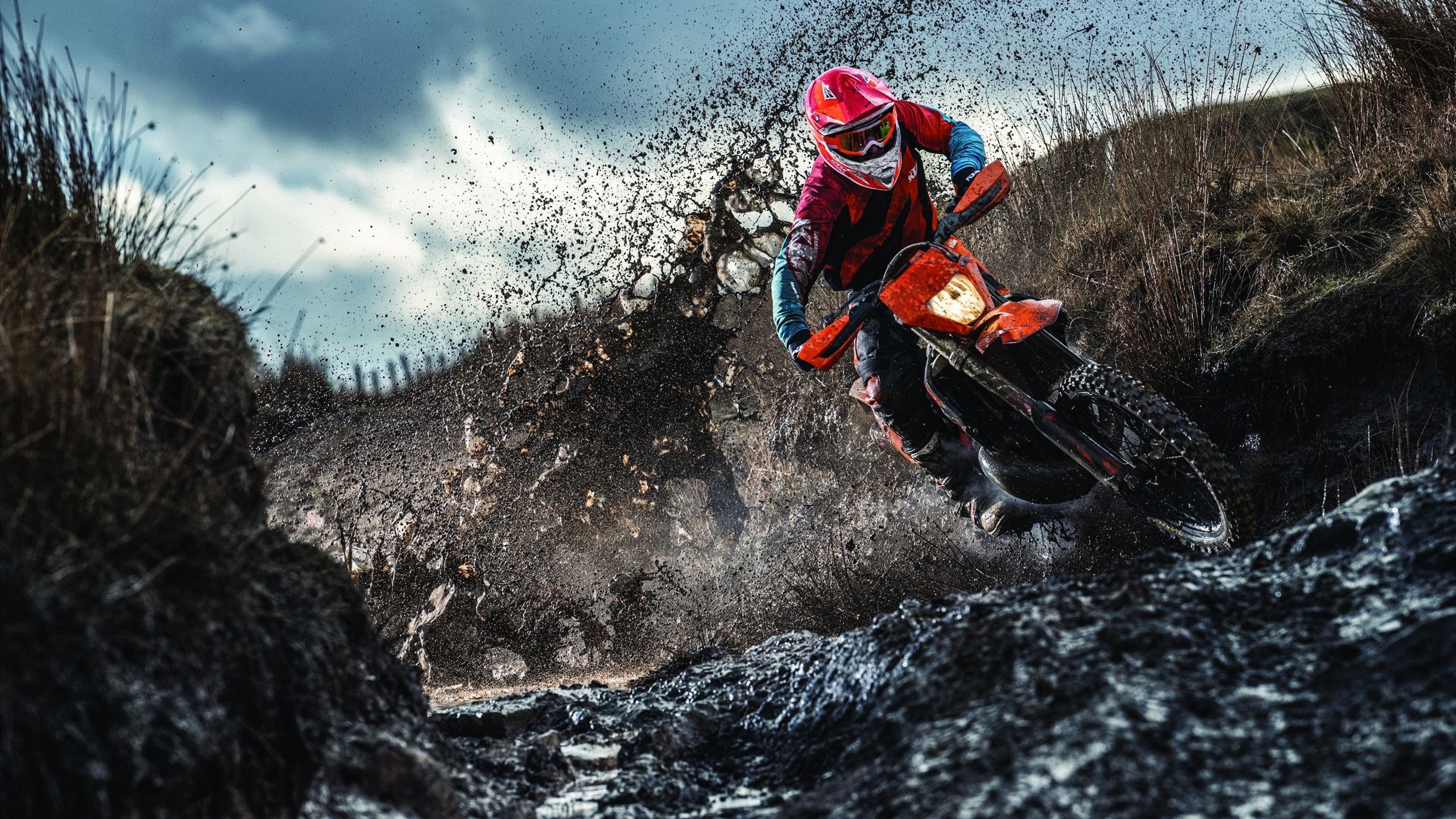 足球行业报告显示大众关注度持续增长，足球受众